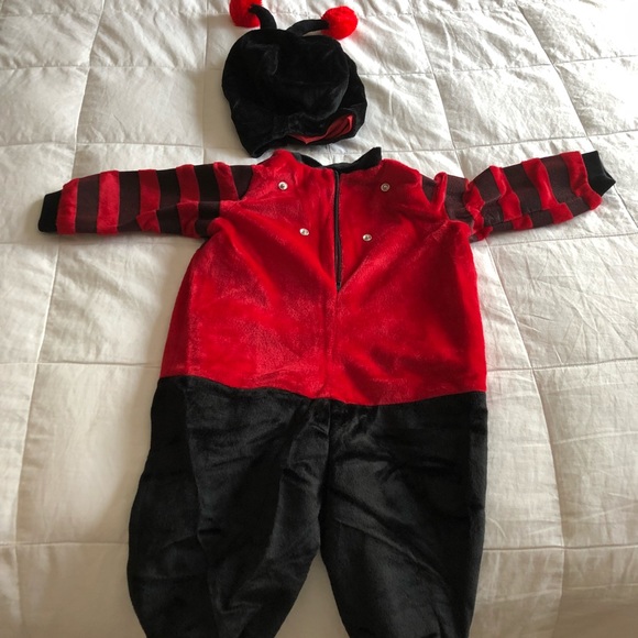 Ladybug costume - Picture 5 of 6
